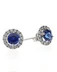 14K White Round Sapphire & Diamond Halo Earrings