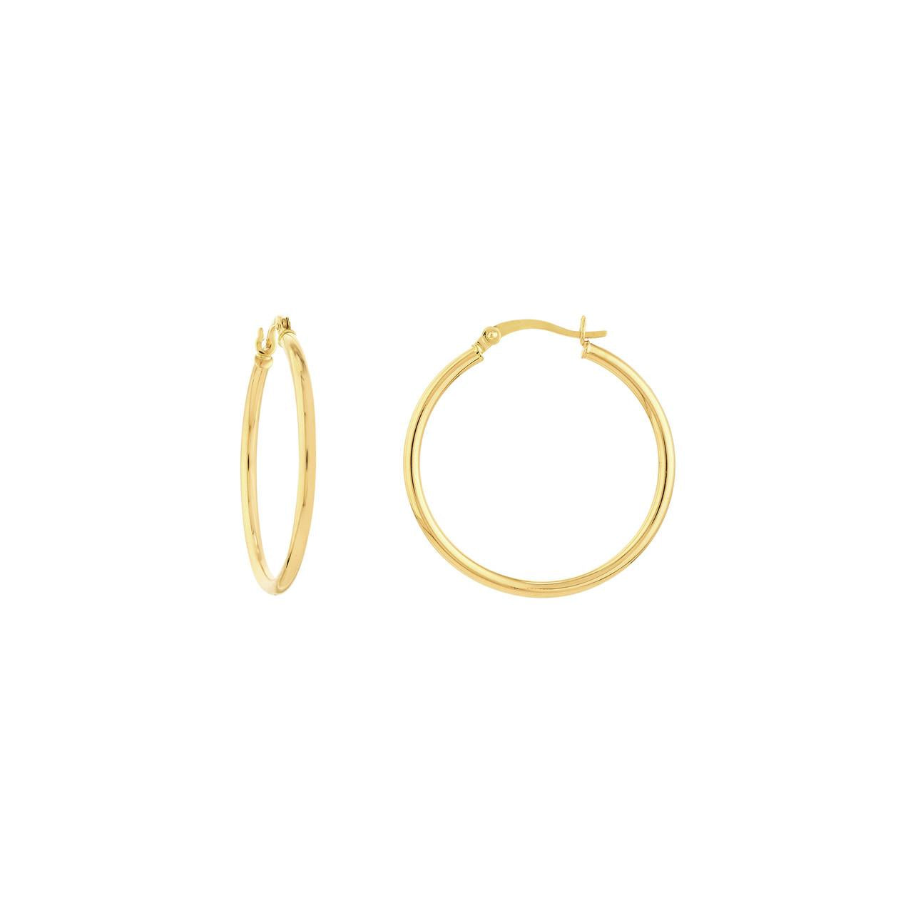 Precious Metal (No Stones) Earring