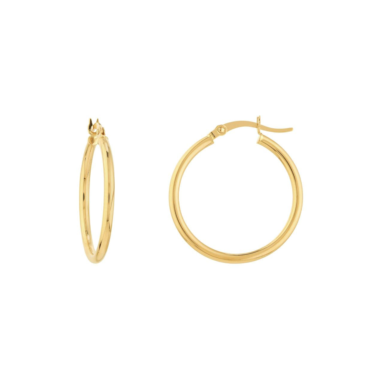 Precious Metal (No Stones) Earring
