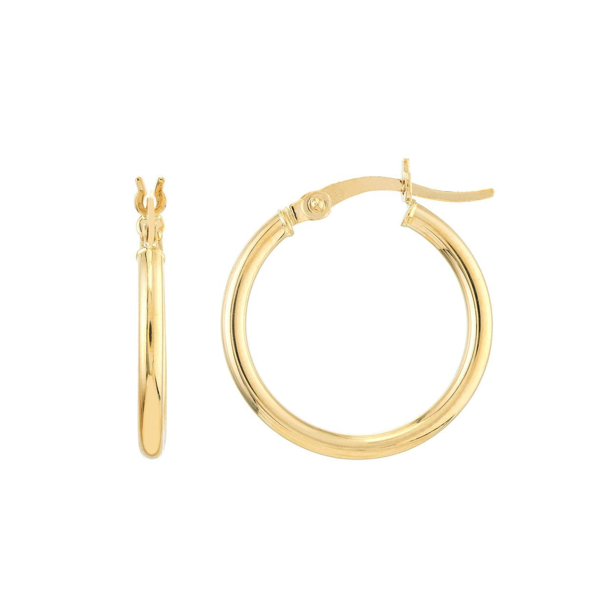 Precious Metal (No Stones) Earring