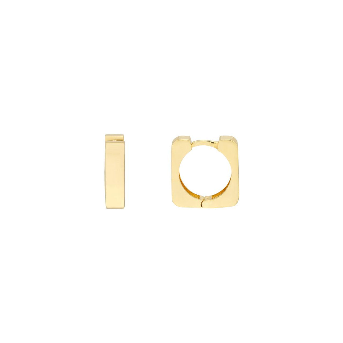 Precious Metal (No Stones) Earring