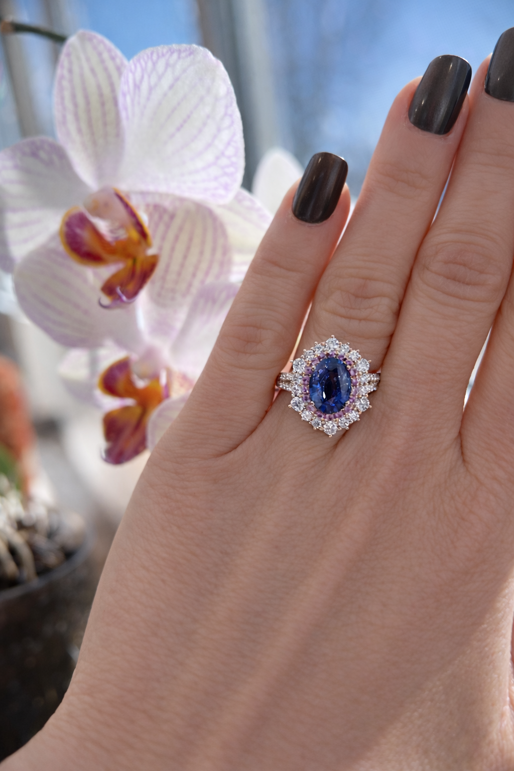 18KT Rose Gold Oval Sapphire ring