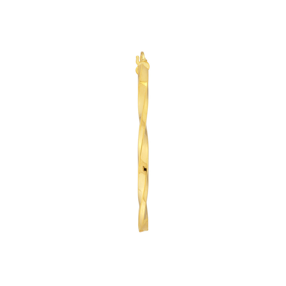 Precious Metal (No Stones) Earring