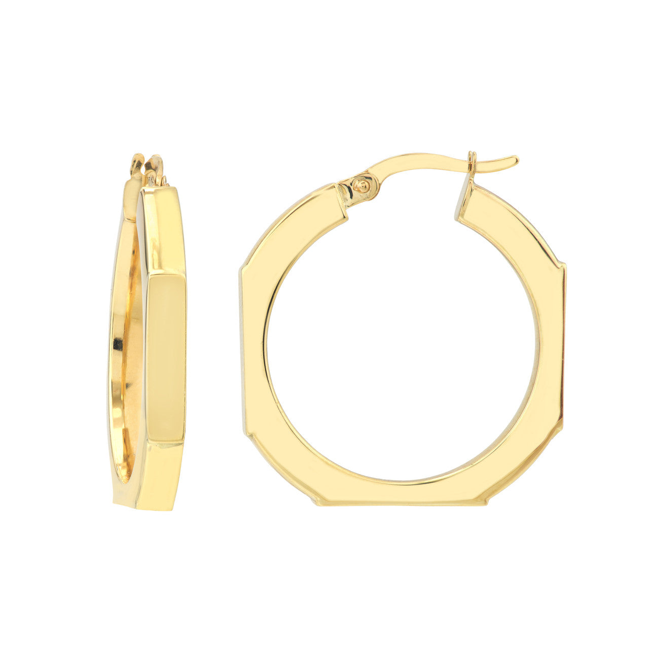 Precious Metal (No Stones) Earring