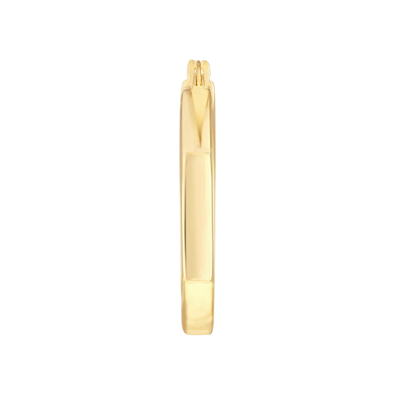 Precious Metal (No Stones) Earring