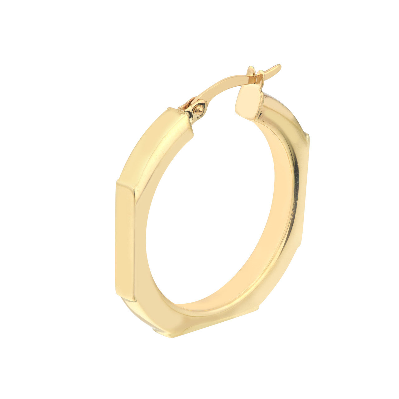 Precious Metal (No Stones) Earring