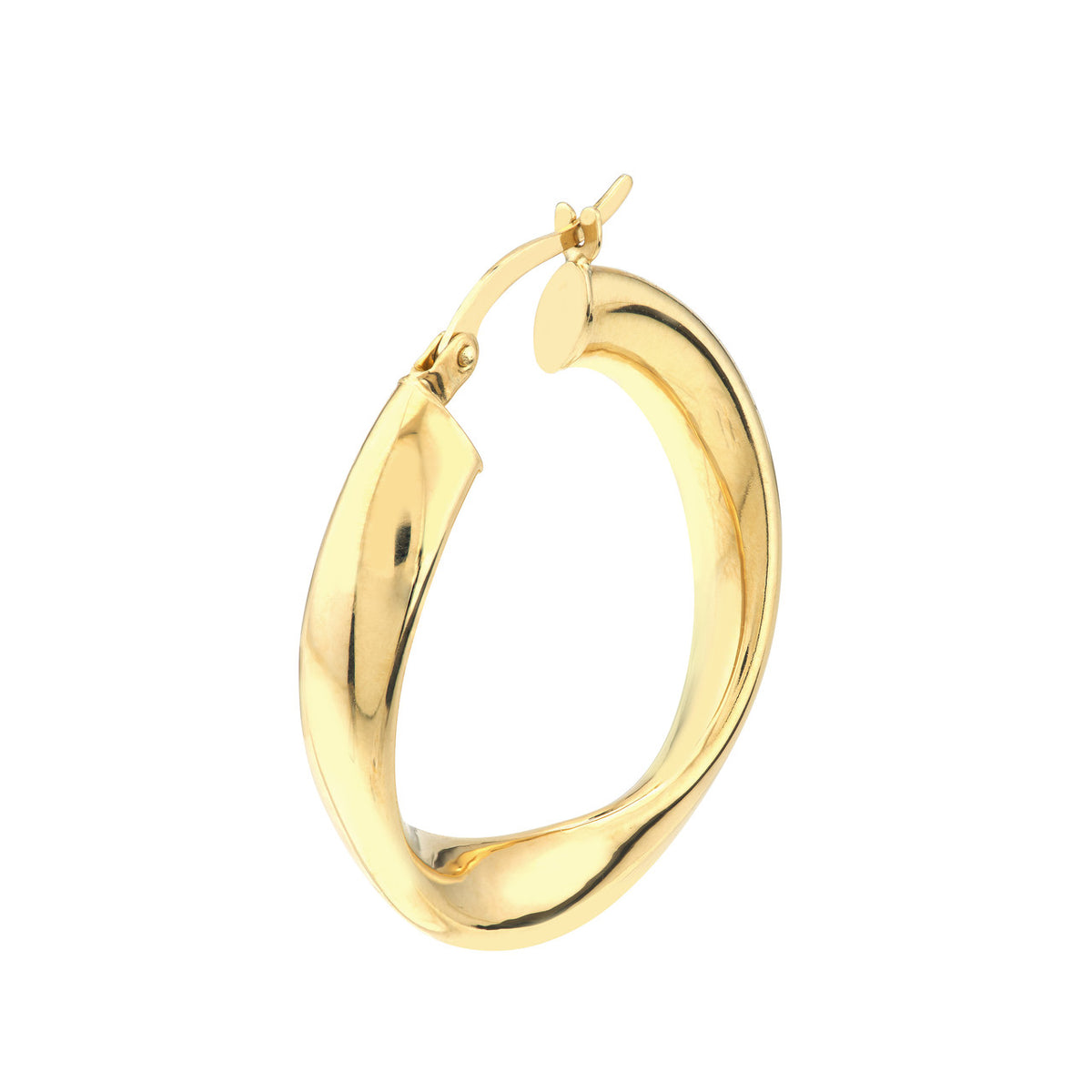 Precious Metal (No Stones) Earring