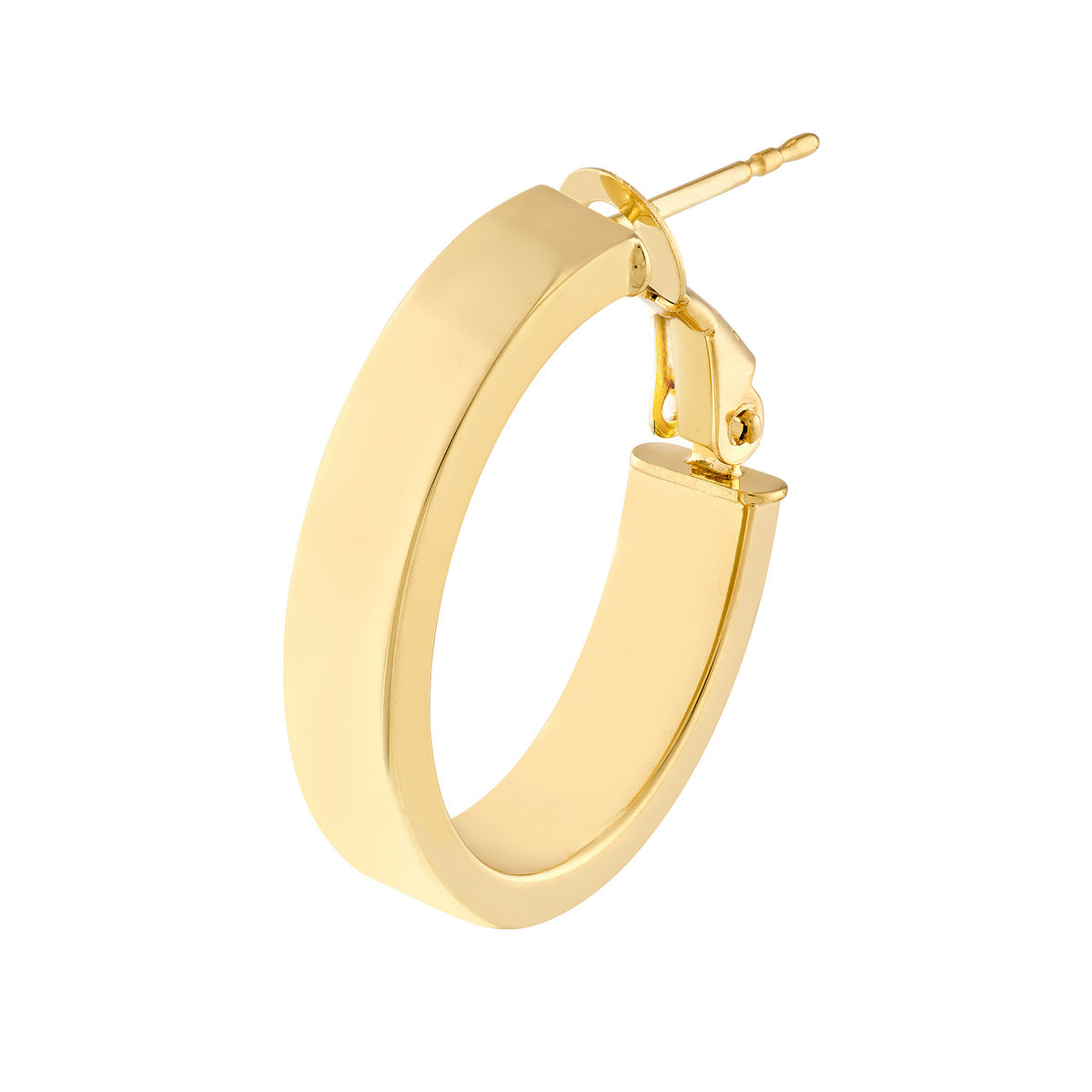 Precious Metal (No Stones) Earring
