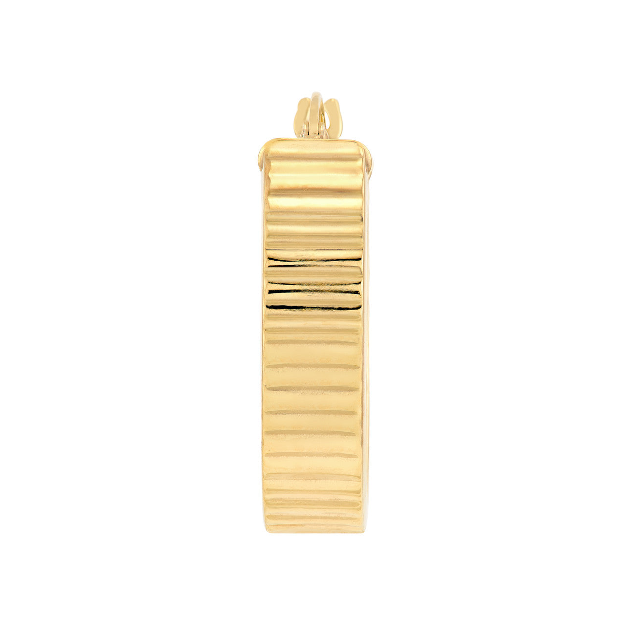 Precious Metal (No Stones) Earring