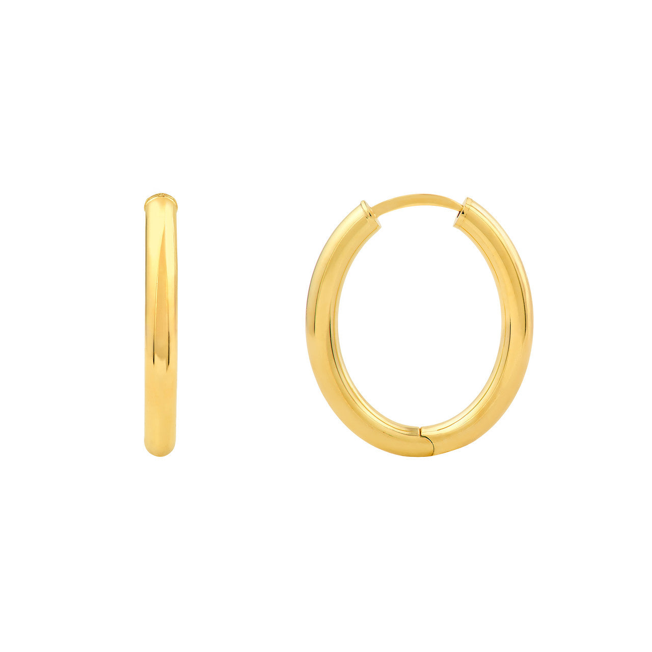 Precious Metal (No Stones) Earring